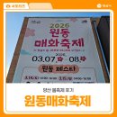 원동교통(주) | 양산 봄축제 후기 2026 원동매화축제 원동페스타