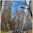 대림꿈부동산공인중개사사무소 | 해운대부동산 대림꿈부동산, 신뢰할 수 있는 해운대 지역의 공인중개사