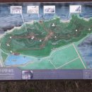 코끼리칼국수 이미지