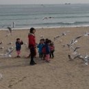 끼룩끼룩 네이버블로그
