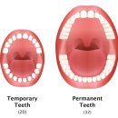 용치과의원 이미지
