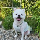 인제종합동물병원 이미지