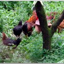 음지마을1 이미지