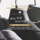 강남명품세탁 이미지