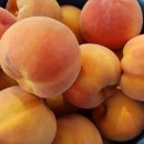 늘해랑농원 이미지