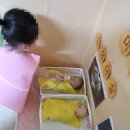 지현약국 이미지