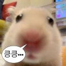 제니스PC방 | [웨딩홀 투어 EP.1] 나의 첫 투어 웨딩홀 광명무역센터컨벤션