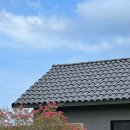 스테이 내내 이미지