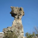 석림4로 이미지