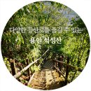 팔경부동산중개 | 다양한 등산 코스를 즐길 수 있는 용인 석성산 (용인관광)