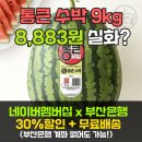 대박통하단점 | 롯데마트 9kg 통큰 수박 8,883원? 제타 할인쿠폰+무료배송 꿀팁 종결 [내돈내산]
