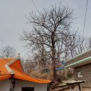 원곡게이트볼장 이미지