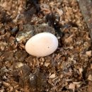 지산농원 이미지