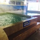 월드해수사우나 이미지