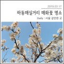 매화세탁소 이미지