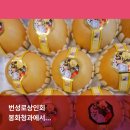 봉화청과