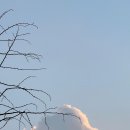 캐럿 - 전주시 완산구 홍산로 246 | 캐럿