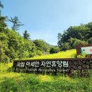 아세안자연휴양림 이미지