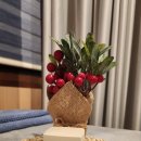 힐링뷰티피부 이미지