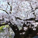 홍교 주차장 이미지