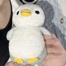 Dear 로빈🐧 이미지