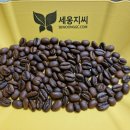 허니소농장 티스토리