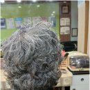 태후사랑 이미지