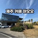 저도연륙교밑 해안도로 | 제주도 서귀포카페 대형 오션뷰 리얼맛집 '카페 아오오' 후기