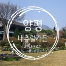 양평가든 | 양평 내츄럴가든529 내돈내산 후기 반려견동반 카페