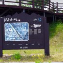 동안동카 이미지