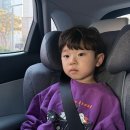 N/P솔루션 | 목꺾임 걱정없는 싸이벡스 주니어 카시트 솔루션T 내돈내산 N개월 후기