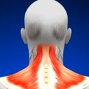 늘필라테스 이미지