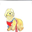 어반스케치A 이미지