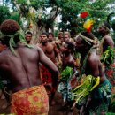 행복의섬 이미지