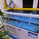 박은자맛사랑 장안점 | 수원 장안구 맛집, 박은자맛사랑 장안점에서 먹은 맛있는 코다리정식 후기 :)