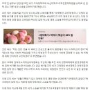 조민, 고대·부산대 입학취소 소송 &#39;취하&#39;…&#34;원점에서 다시 시작&#34; 이미지