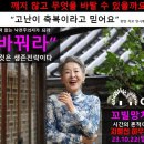 신태인경매장