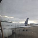 718 | 루프트한자 후기 LH718, 719 기내식, 스타얼라이언스 마일리지 적립