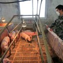 다만축산 이미지