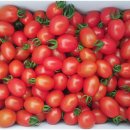 다송농장 이미지