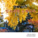 영천서원 이미지