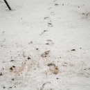 달팽이의하루 이미지