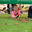 알프스하이디어린이집 이미지