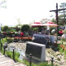 물고기마을 이미지