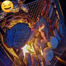 쫑이와메리 | [쫑이와메리 애견펜션] 연천애견펜션하면 여기! 독채라서 더 좋았던 힐링 여행