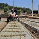 노안축산 이미지