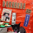 라라그루밍 이미지