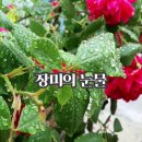 정은숙 농장 이미지