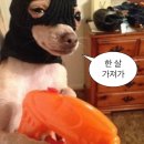 딸부자 PC방 | 20250802~0803: 충주 여행 (부제: 와사비 아이스크림은 와사비 맛이 난다)