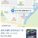 예스 | 골프 여성 입문자 골프채 가성비 좋은 풀세트 예스 벨라 구매 후기